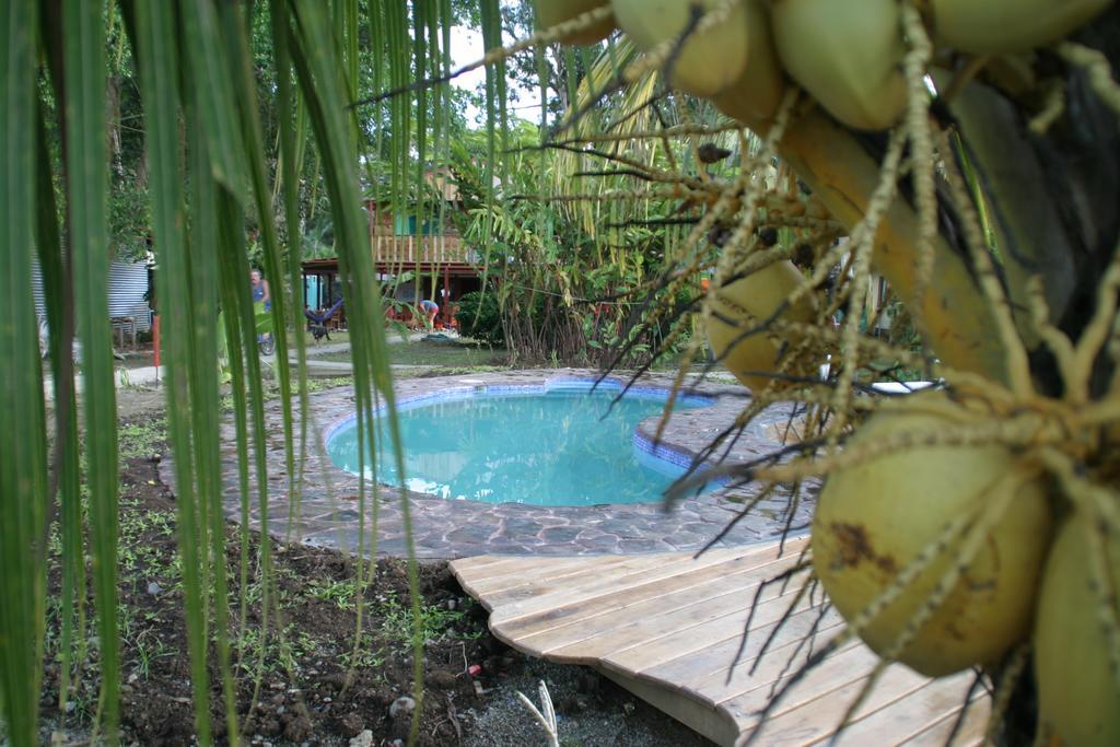 Hakuna Matata Hostel Кахуита Екстериор снимка